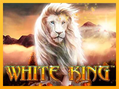 White King 游戏机赚钱