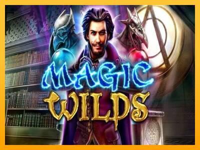 Magic Wilds 游戏机赚钱