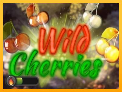 Wild Cherries 游戏机赚钱