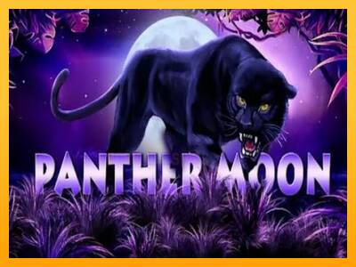 Panther Moon 游戏机赚钱