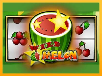 Wild Melon 游戏机赚钱