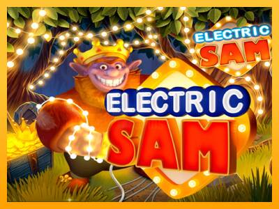 Electric Sam 游戏机赚钱