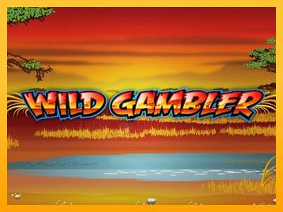 Wild Gambler 游戏机赚钱