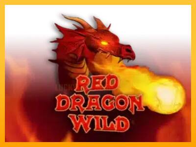 Red Dragon Wild 游戏机赚钱