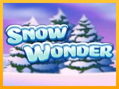 Snow Wonder 游戏机赚钱