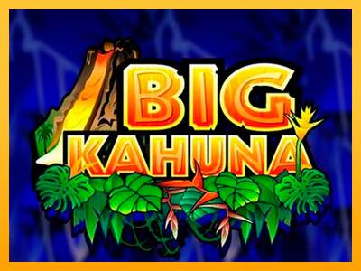 Big Kahuna 游戏机赚钱