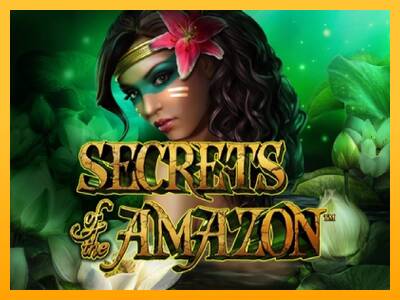 Secrets of the Amazon 游戏机赚钱