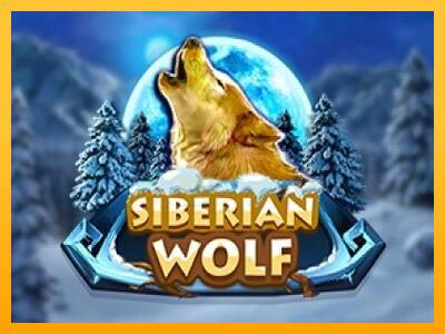 Siberian Wolf 游戏机赚钱