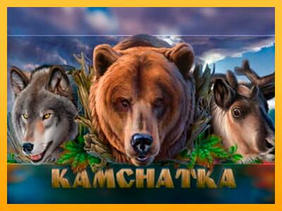 Kamchatka 游戏机赚钱