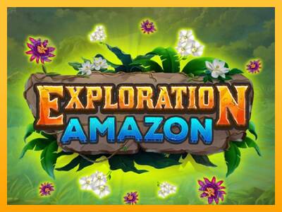 Exploration Amazon 游戏机赚钱