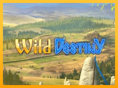 Wild Destiny 游戏机赚钱