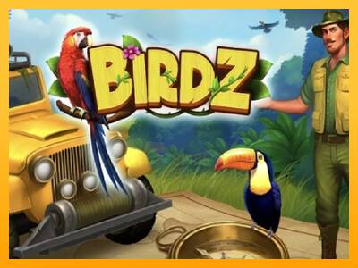 BIRDZ 游戏机赚钱