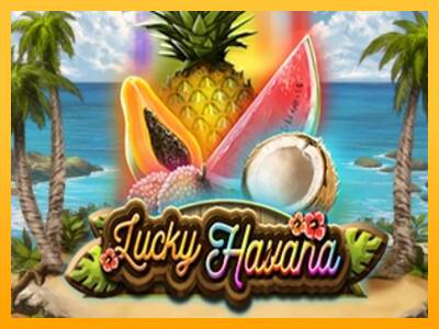 Lucky Havana 游戏机赚钱