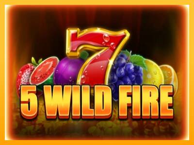 5 Wild Fire 游戏机赚钱