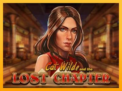 Cat Wilde and the Lost Chapter 游戏机赚钱