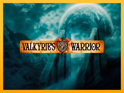 Valkyries Warrior 游戏机赚钱