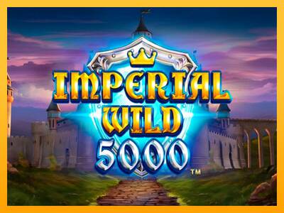 Imperial Wild 5000 游戏机赚钱