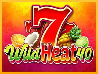 Wild Heat 40 游戏机赚钱