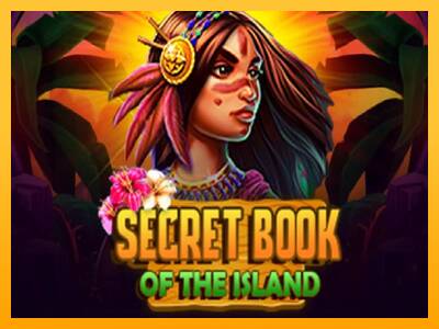 Secret Book of the Island 游戏机赚钱