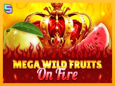 Mega Wild Fruits - On Fire 游戏机赚钱