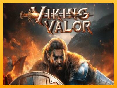 Viking Valor 游戏机赚钱