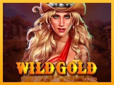 Wild Gold 100000 游戏机赚钱