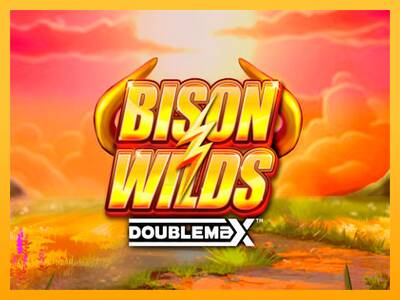 Bison Wilds DoubleMax 游戏机赚钱