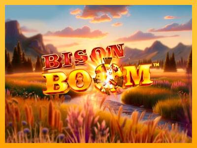 Bison Boom 游戏机赚钱