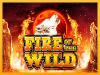 Fire of the Wild 游戏机赚钱