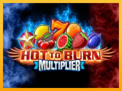 Hot to Burn Multiplier 游戏机赚钱