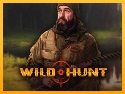 Wild Hunt 游戏机赚钱