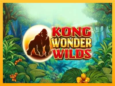 Kong Wonder Wilds 游戏机赚钱