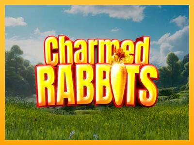 Charmed Rabbits 游戏机赚钱