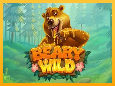 Beary Wild 游戏机赚钱