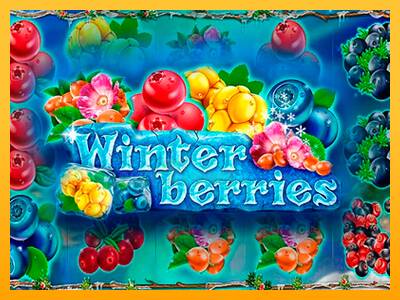 Winterberries 游戏机赚钱