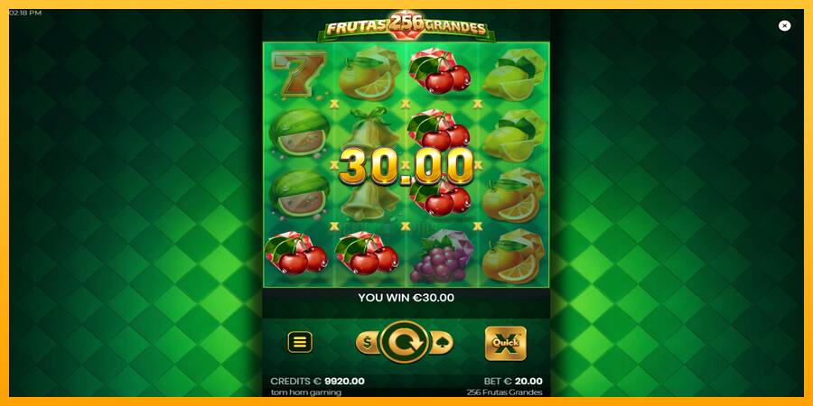 256 Frutas Grandes 游戏机赚钱, 图片 3