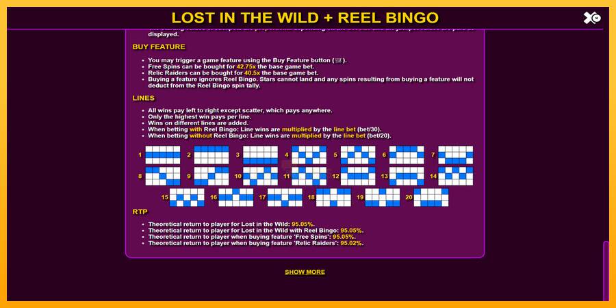 Lost in the Wild with Reel Bingo 游戏机赚钱, 图片 7