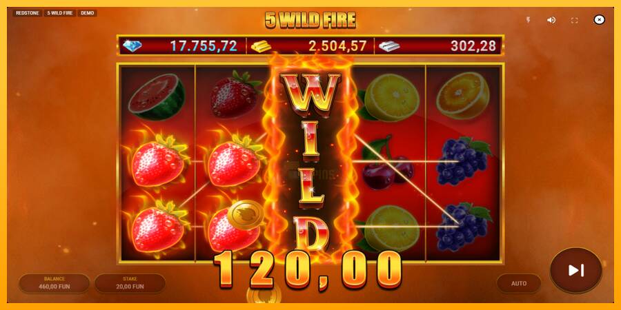 5 Wild Fire 游戏机赚钱, 图片 4