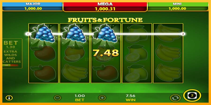 Fruits & Fortune 游戏机赚钱, 图片 5