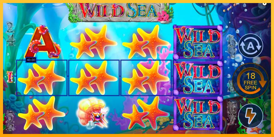 Wild Sea 游戏机赚钱, 图片 4