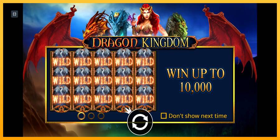 Dragon Kingdom 游戏机赚钱, 图片 1