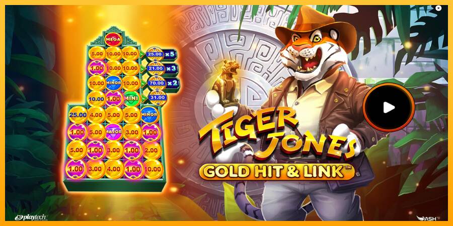 Gold Hit & Link: Tiger Jones 游戏机赚钱, 图片 1