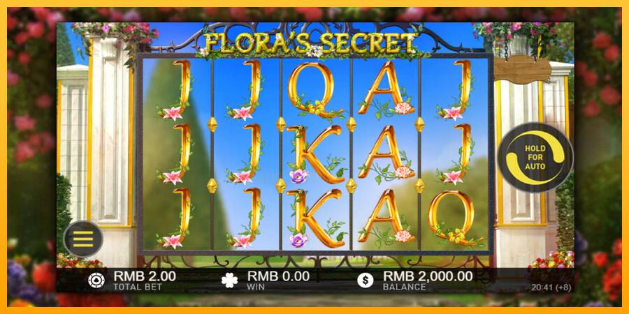 Floras Secret 游戏机赚钱, 图片 2