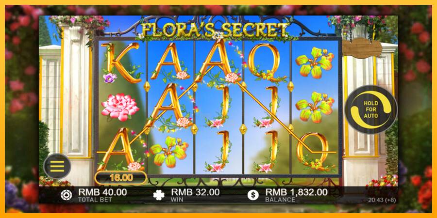 Floras Secret 游戏机赚钱, 图片 3