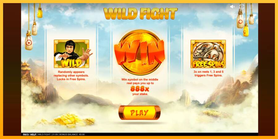 Wild Fight 游戏机赚钱, 图片 1