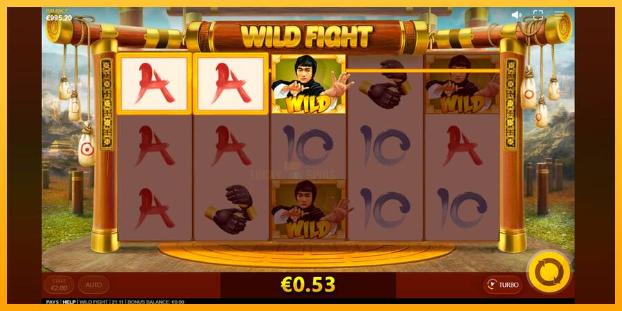 Wild Fight 游戏机赚钱, 图片 4