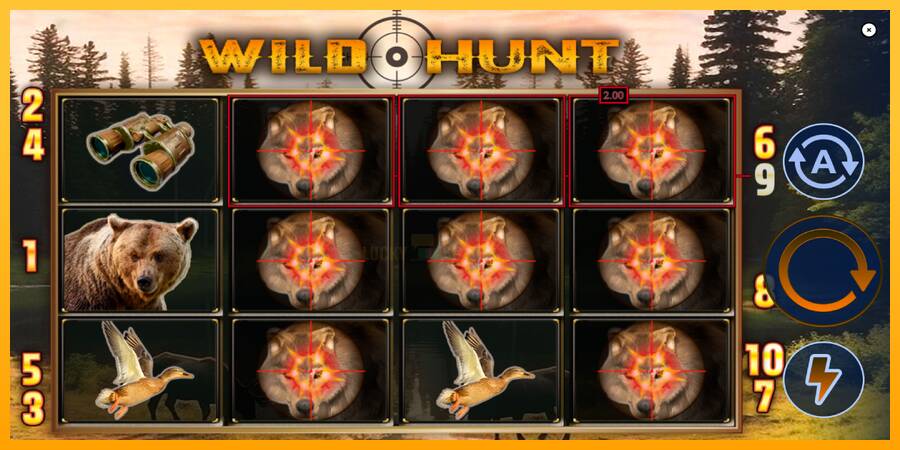 Wild Hunt 游戏机赚钱, 图片 3