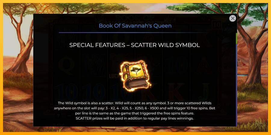 Book of Savannahs Queen 游戏机赚钱, 图片 5