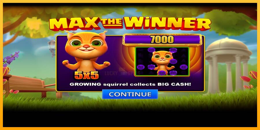 Max The Winner 游戏机赚钱, 图片 1