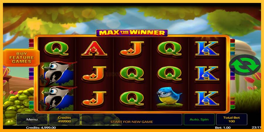 Max The Winner 游戏机赚钱, 图片 2